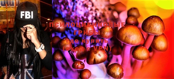 MDMA Богородицк